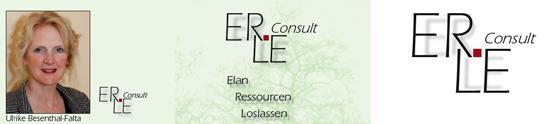 ERLEconsultmini